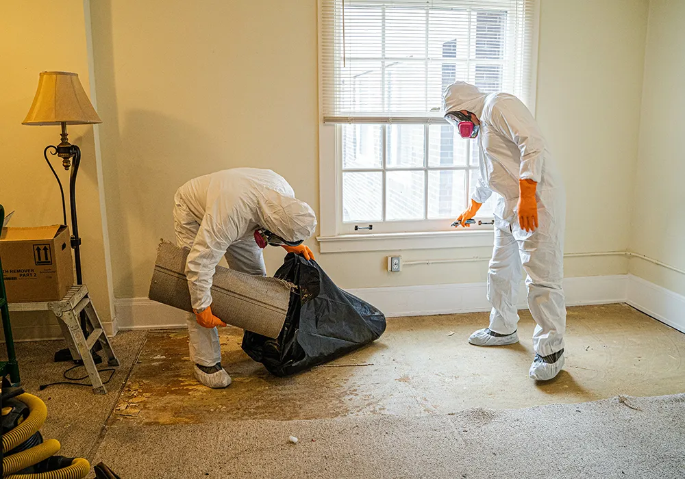 Professioneller Dienstleister für Klavier- und Flügeltransporte durch Umzüge Brandlmeier